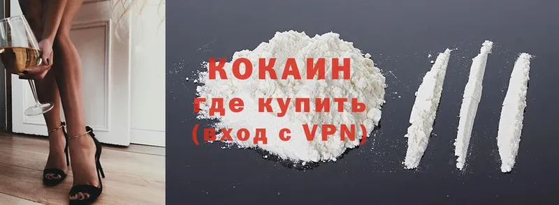 Cocaine Fish Scale  блэк спрут ссылка  Новоаннинский 